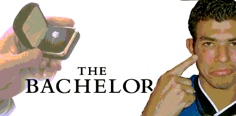 bach.gif